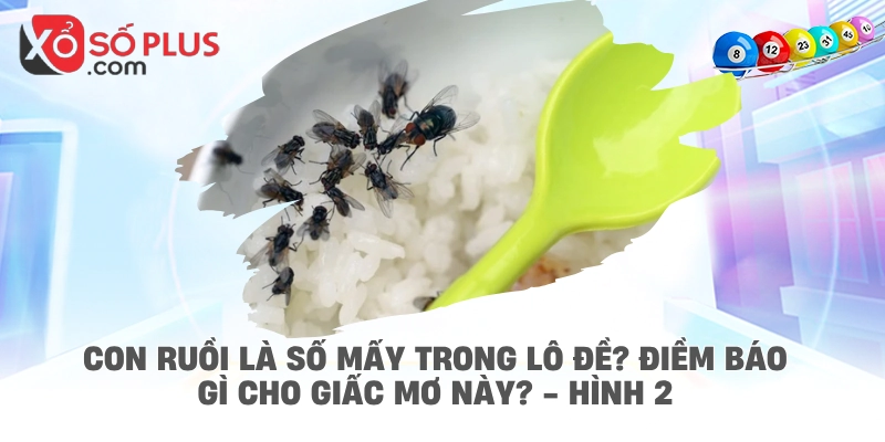 Con ruồi là số mấy trong lô đề? Điềm báo gì cho giấc mơ này? - hình 2