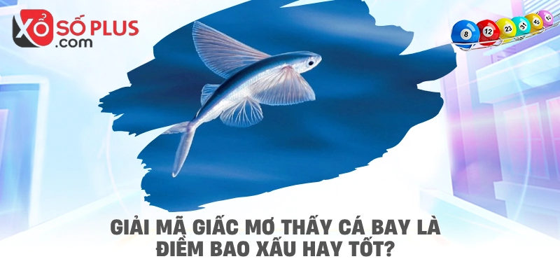 Giải mã giấc mơ thấy cá bay là điềm bao xấu hay tốt?