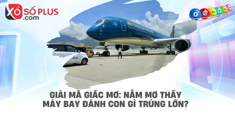 Giải mã giấc mơ: Nằm mơ thấy máy bay đánh con gì trúng lớn?