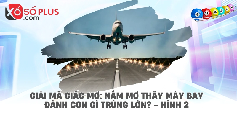 Giải mã giấc mơ: Nằm mơ thấy máy bay đánh con gì trúng lớn? - hình 2