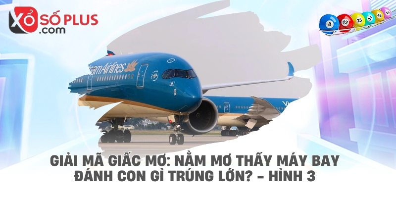 Giải mã giấc mơ: Nằm mơ thấy máy bay đánh con gì trúng lớn? - hình 3