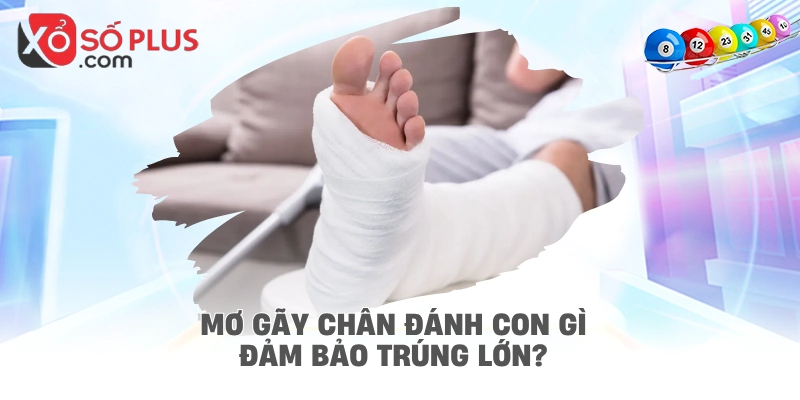 Mơ gãy chân đánh con gì đảm bảo trúng lớn?