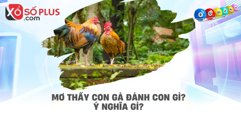 Mơ thấy con gà đánh con gì? Ý nghĩa gì?
