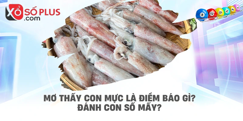 Mơ thấy con mực là điềm báo gì? Đánh con số mấy?