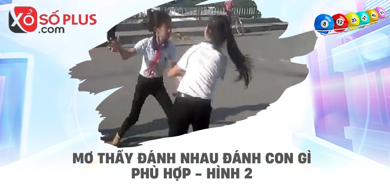 Mơ thấy đánh nhau đánh con gì phù hợp - hình 2
