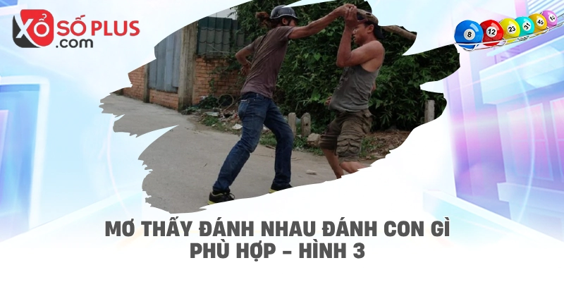 Mơ thấy đánh nhau đánh con gì phù hợp - hình 3