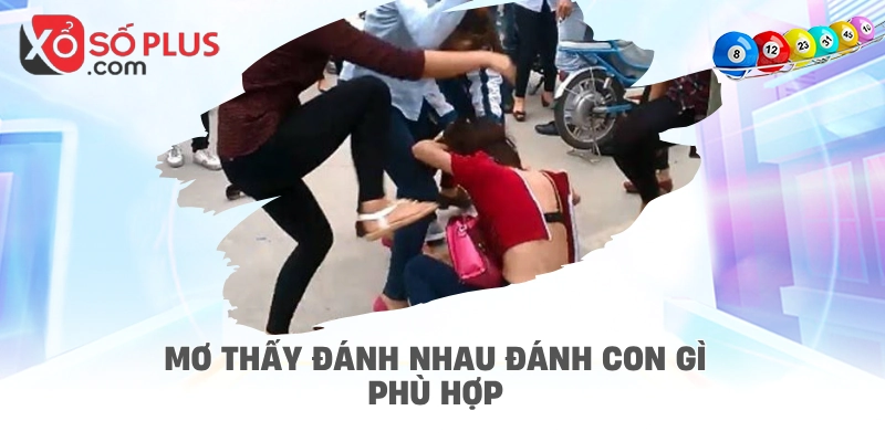 Mơ thấy đánh nhau đánh con gì phù hợp