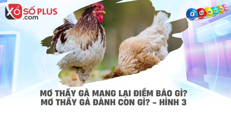 Mơ thấy gà mang lại điềm báo gì? Mơ thấy gà đánh con gì? - hình 3