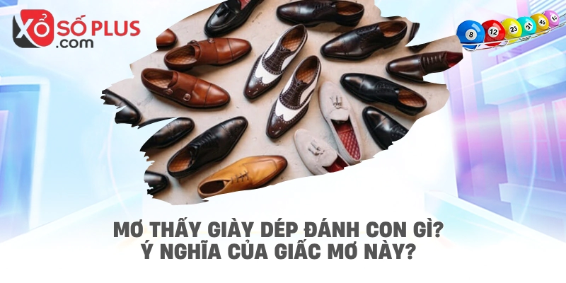 Mơ thấy giày dép đánh con gì? Ý nghĩa của giấc mơ này?