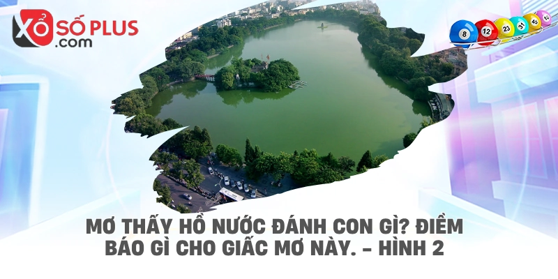 Mơ thấy hồ nước đánh con gì? Điềm báo gì cho giấc mơ này. - hình 2