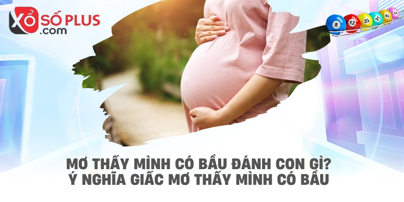 Mơ thấy mình có bầu đánh con gì? Ý nghĩa giấc mơ thấy mình có bầu