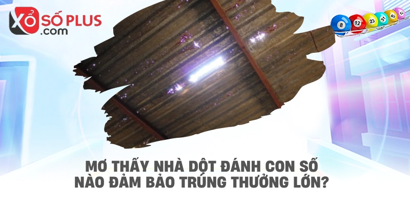 Mơ thấy nhà dột đánh con số nào đảm bảo trúng thưởng lớn?