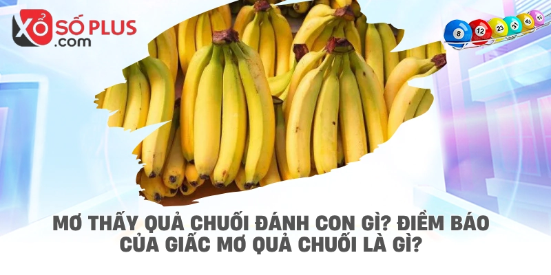 Mơ thấy quả chuối đánh con gì? Điềm báo của giấc mơ quả chuối là gì?