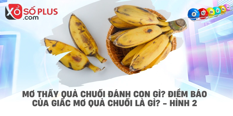 Mơ thấy quả chuối đánh con gì? Điềm báo của giấc mơ quả chuối là gì? - hình 2