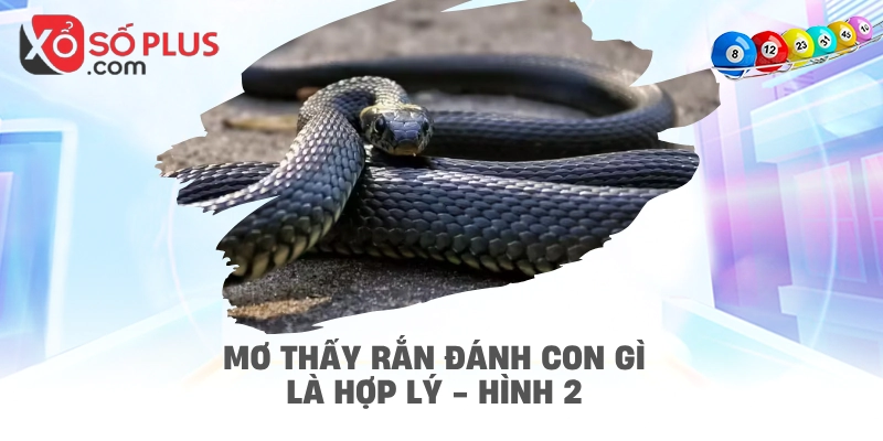Mơ thấy rắn đánh con gì là hợp lý - hình 2