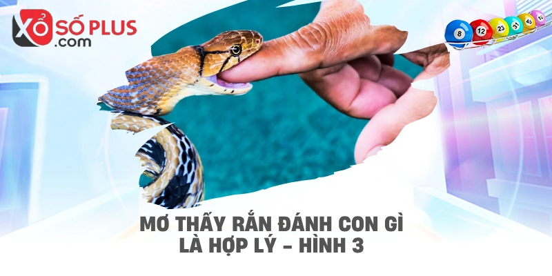 Mơ thấy rắn đánh con gì là hợp lý - hình 3
