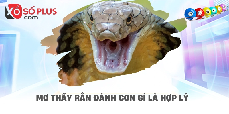 Mơ thấy rắn đánh con gì là hợp lý