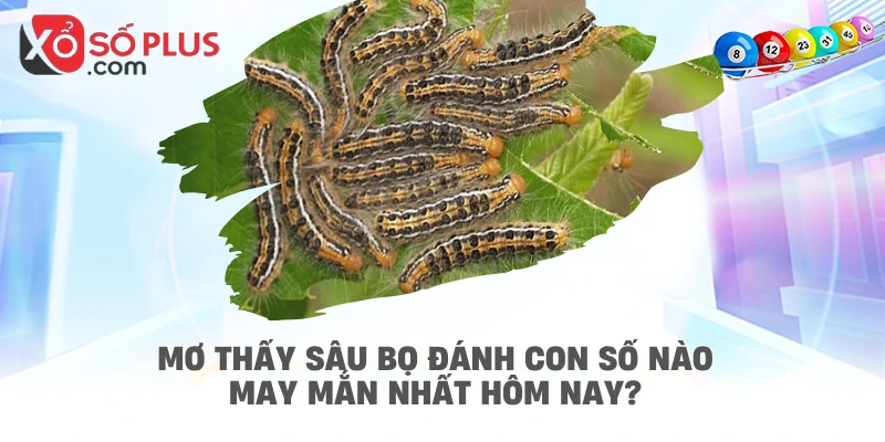 Mơ thấy sâu bọ đánh con số nào may mắn nhất hôm nay?