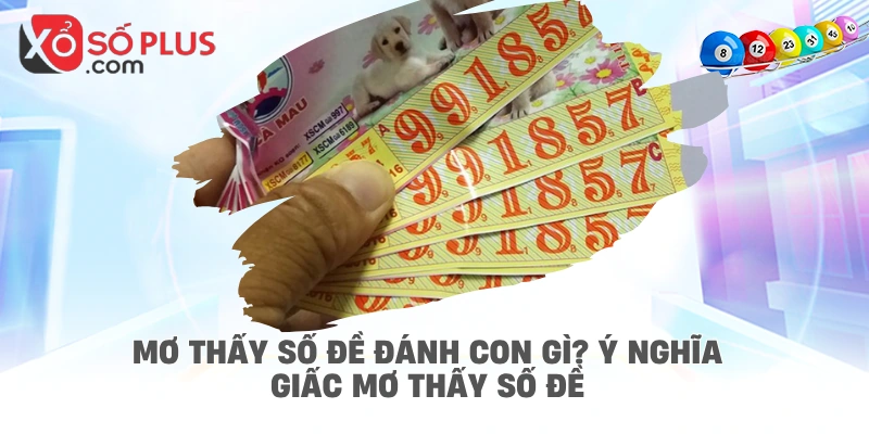Mơ thấy số đề đánh con gì? Ý nghĩa giấc mơ thấy số đề