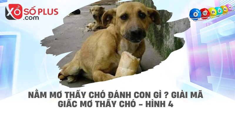 Nằm mơ thấy chó đánh con gì ? Giải mã giấc mơ thấy chó - hình 4