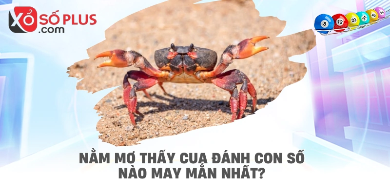 Nằm mơ thấy cua đánh con số nào may mắn nhất?