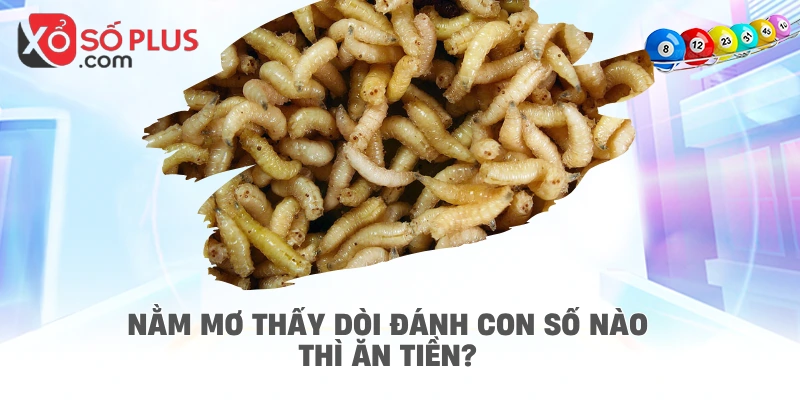 Nằm mơ thấy dòi đánh con số nào thì ăn tiền?