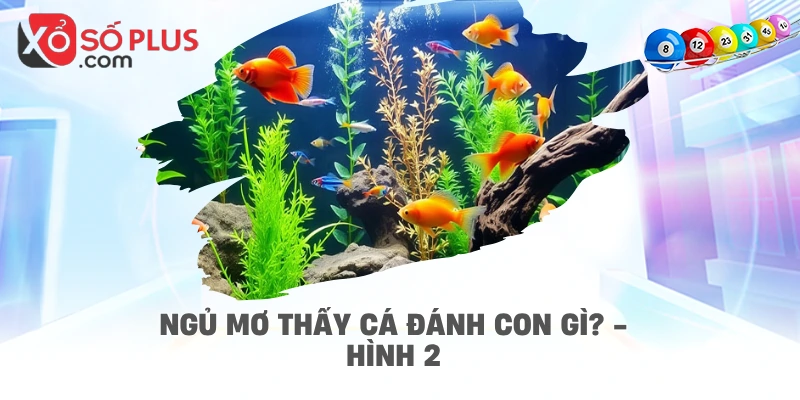 Ngủ mơ thấy cá đánh con gì? - hình 2