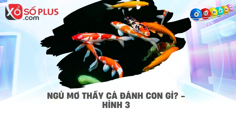 Ngủ mơ thấy cá đánh con gì? - hình 3