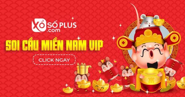 Soi cầu miền Nam VIP